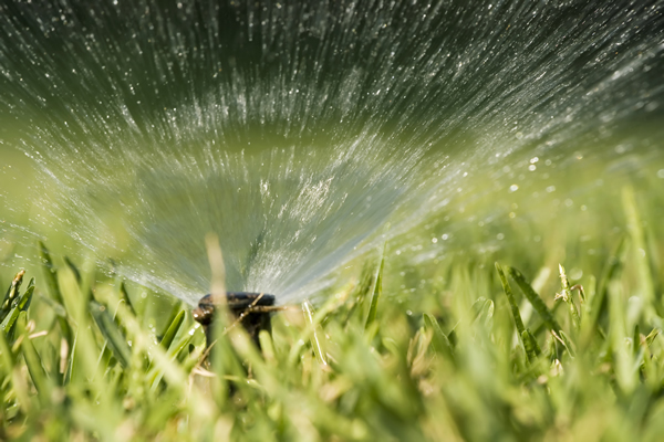 Sprinkler installation services in Provo